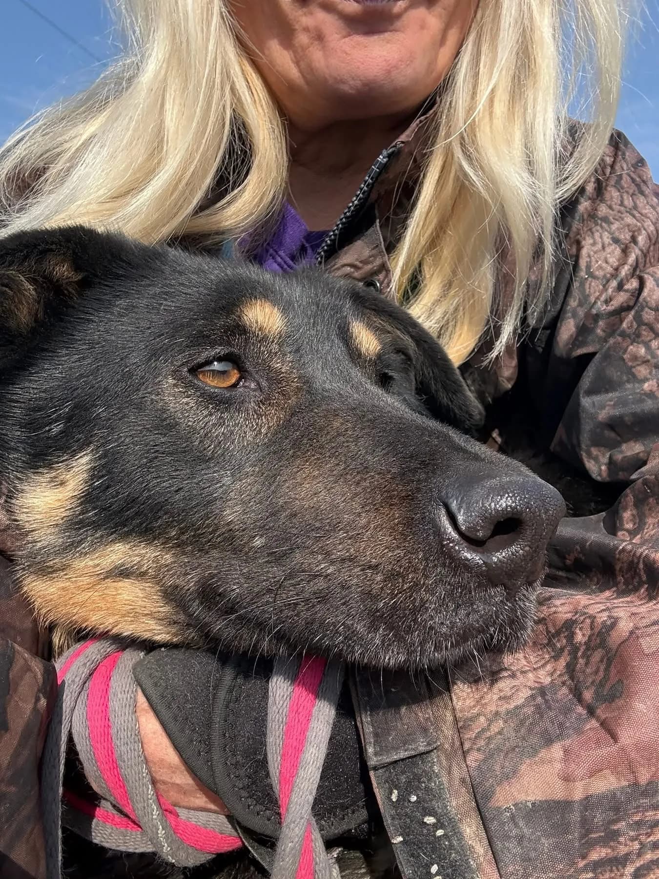 Romeo — Cross-breed