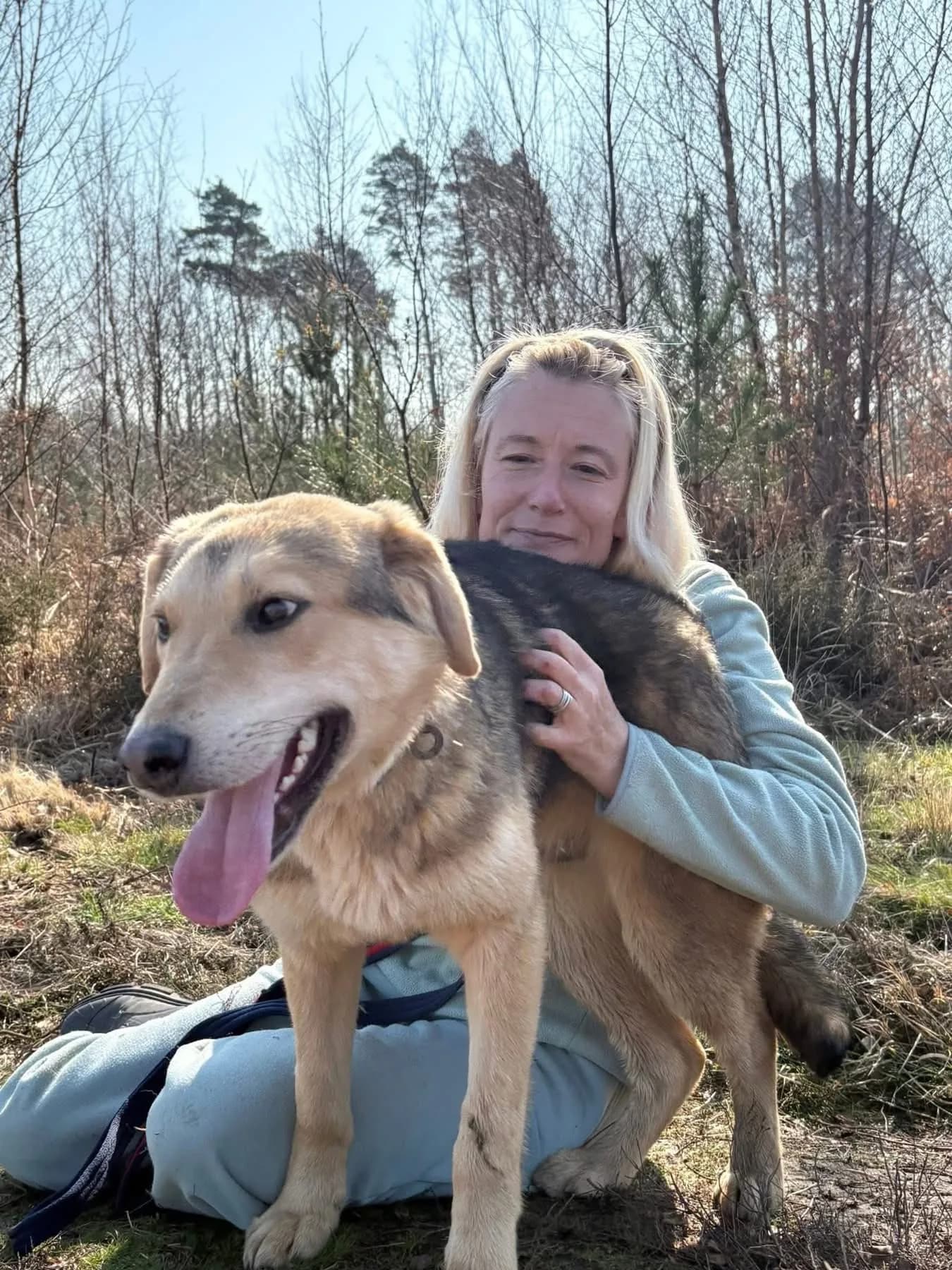 Neddy — Cross-breed