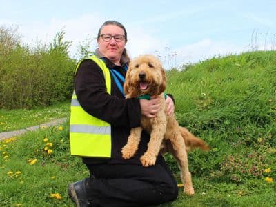 Bernie — Retriever (Golden) Cross