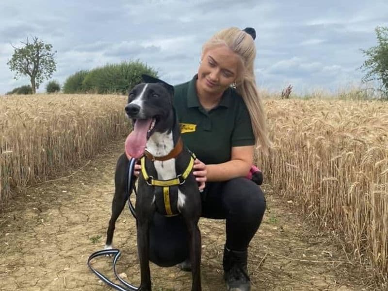 Betty spaghetti photo 2