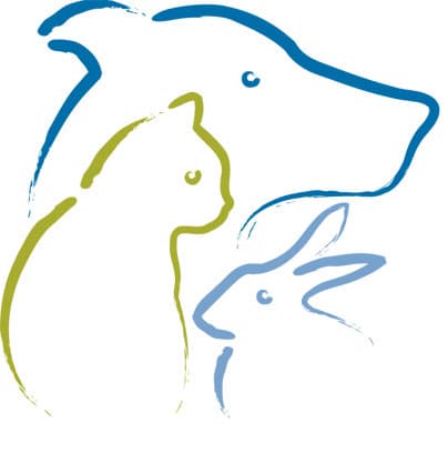 Tiegan — Of Home They Require For Their Own Parti