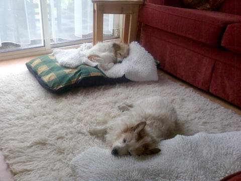 Penny & Bonny Russell — Unknown