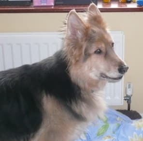 Lovely Lady — Unknown