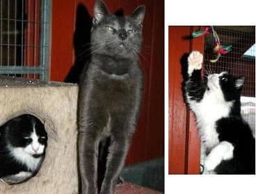 Jerry, Bonnie & Clyde — Unknown