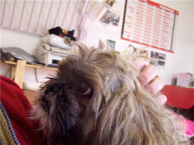 Riff-Raff — Unknown