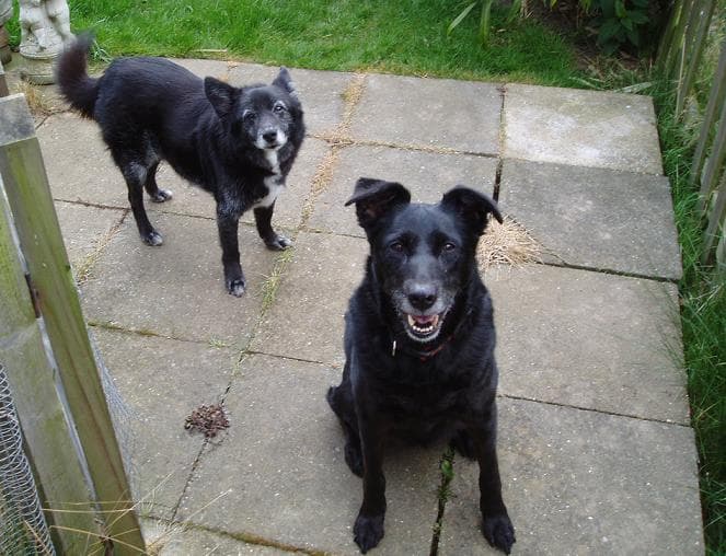 When Roxy met Buster! — Unknown