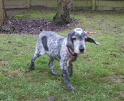 Adorable Amy Cocker — Unknown