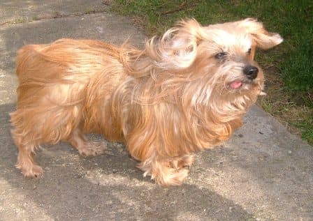 Beautiful Bruno — Unknown