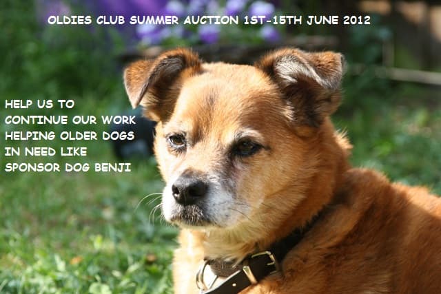 Oldies Club Summer Auction — Unknown