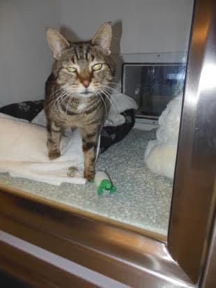 Michael Harrison — Unknown