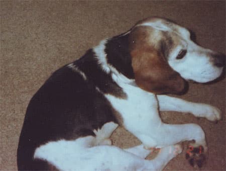 Bob, just bob, bob, bobbin’ along — Unknown