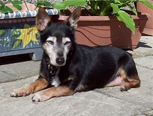 Cutie Cassie — Unknown