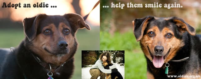 A New Year’s Wish — Unknown