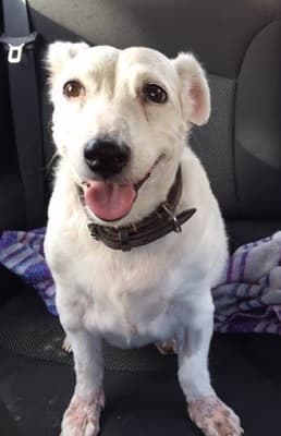 Bright Barney — Unknown