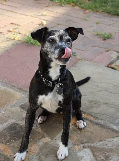 Autumn Auction 16th- 29th October 2016 — Unknown