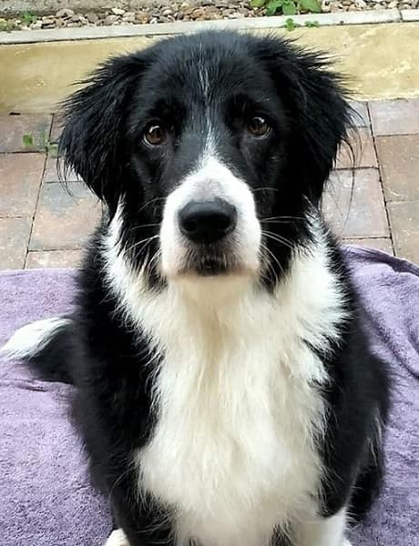 Pretty Miss Millie — Unknown