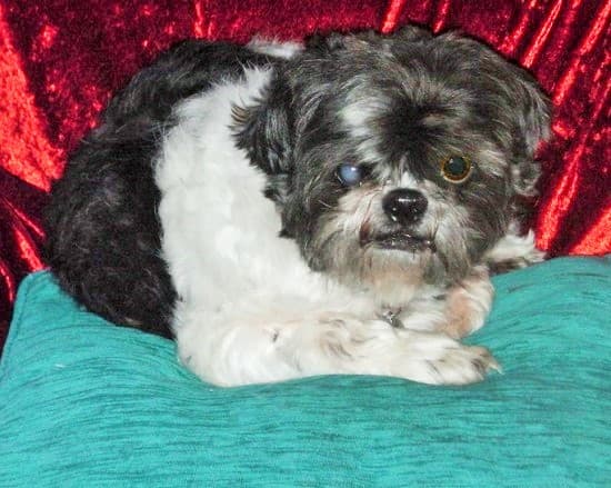 Peace-loving Princess! — Unknown