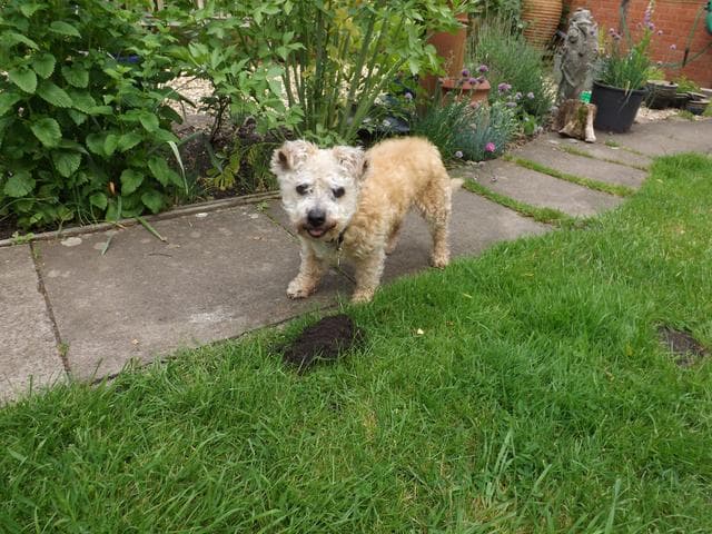 Sensitive Tasha — Unknown