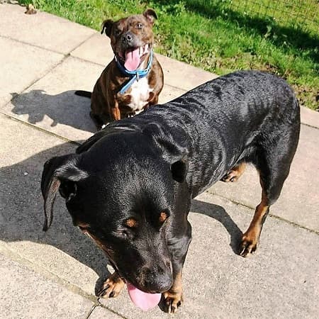 Bonnie and Clyde — Unknown