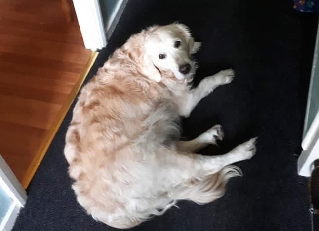 “Don’t leave me!” says Tilly — Unknown