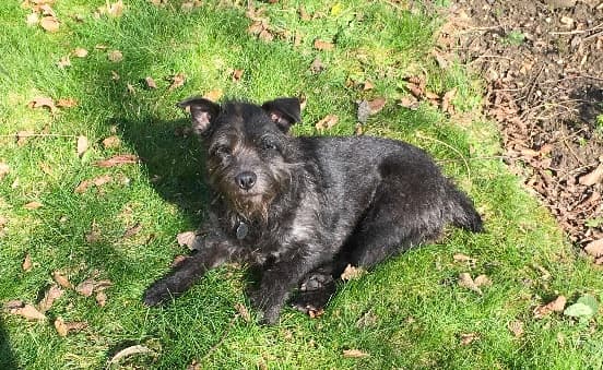 Darling Jackie — Unknown