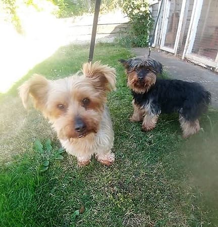 Jake and Billy — Unknown