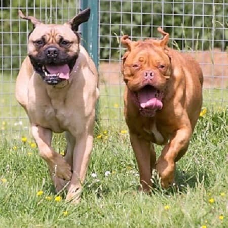 Meg and Lexi — Unknown