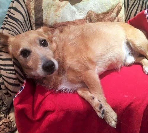 Justin & Tigga — Unknown