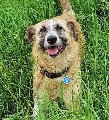 Snow White — Unknown