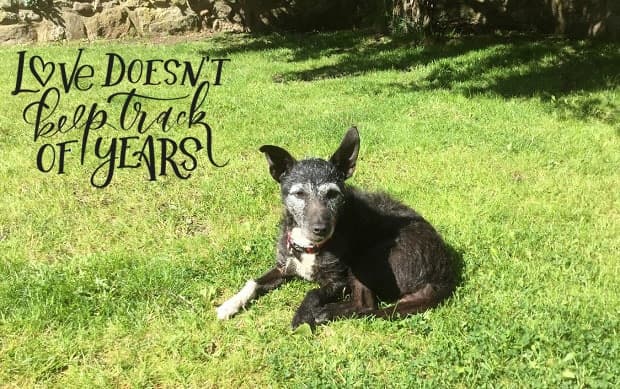 Online Summer Auction – now CLOSED — Unknown