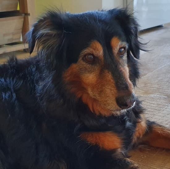 Pretty Senorita Millie! — Unknown