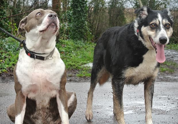 Leaha and Charlie — Unknown