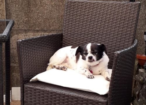 A note from Darling Daisy! — Unknown