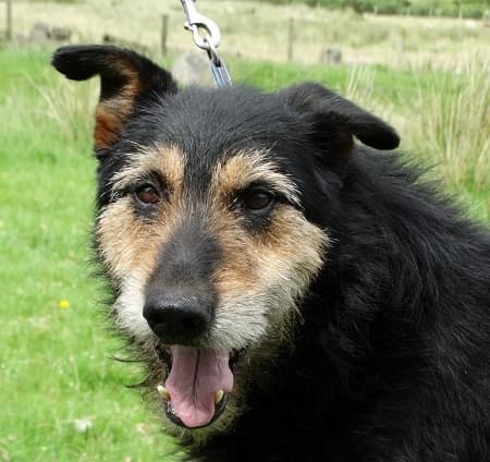 Randolph — Unknown