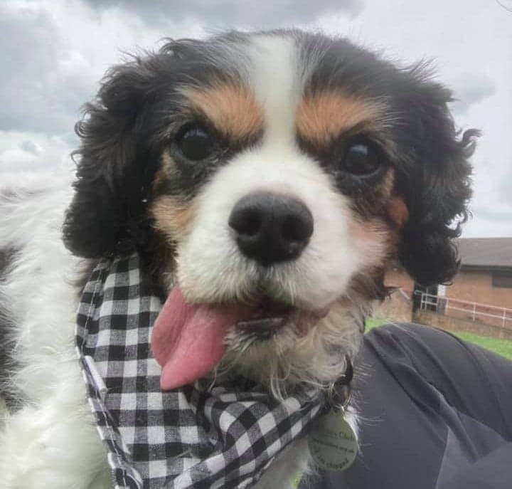 Diamond aka Tiny D — Unknown