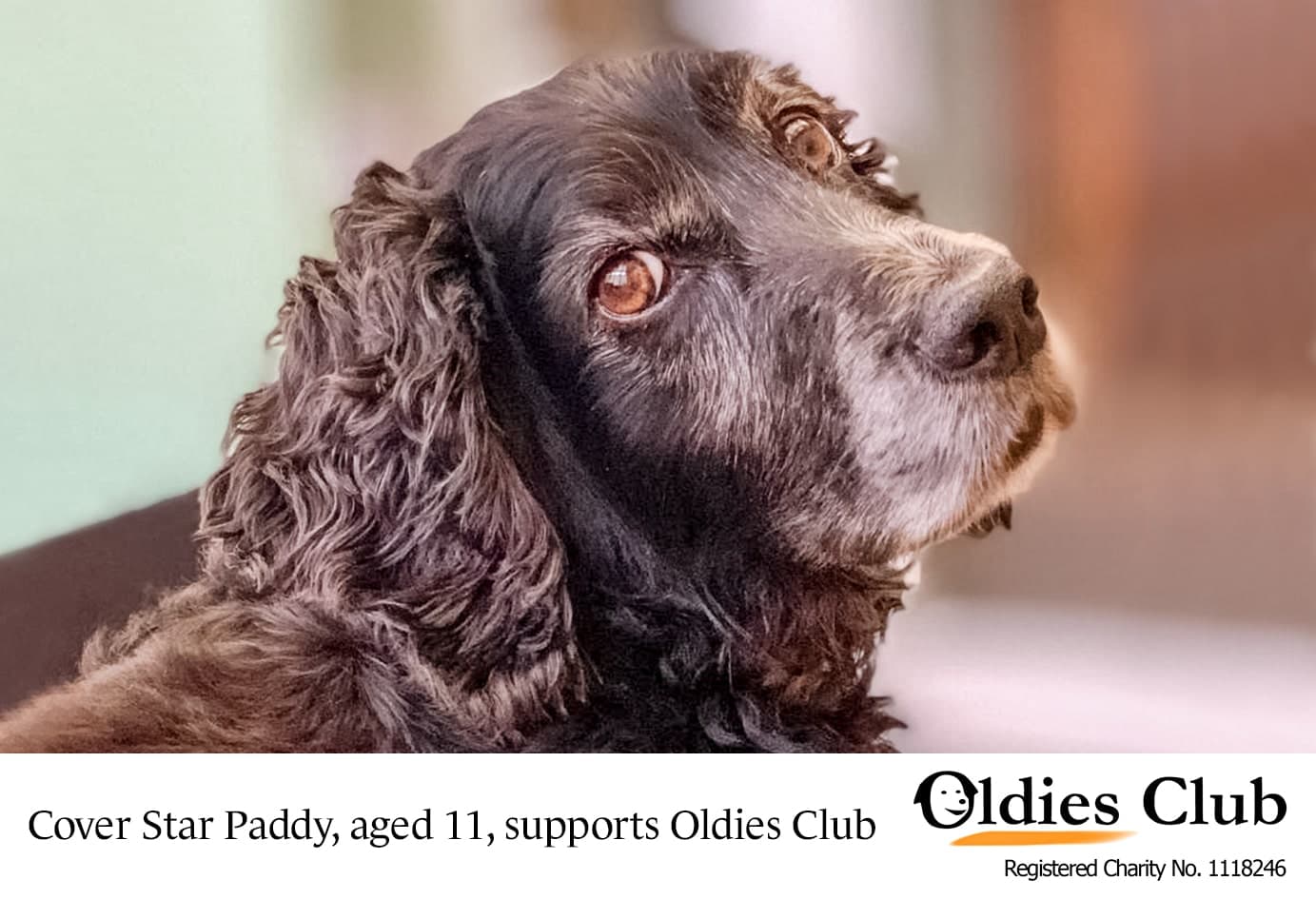 Oldies Club Calendar 2021- SOLD OUT — Unknown