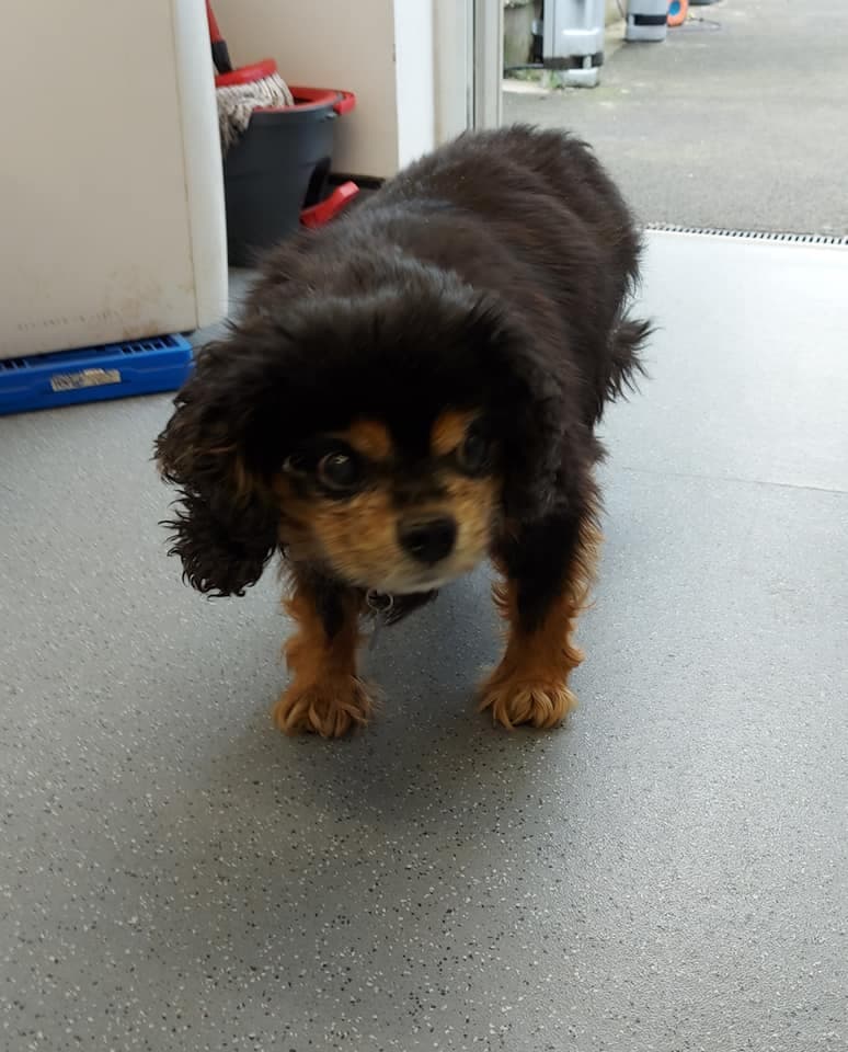 Tottering Toby — Unknown