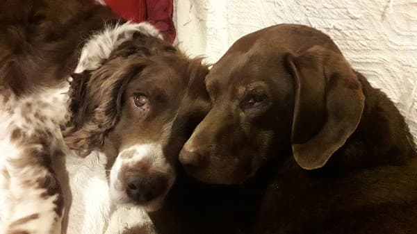 Bracken and Tia, life-enriching best friends — Unknown