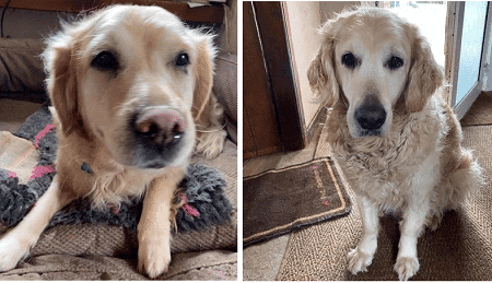 Meg and Ralph — Unknown