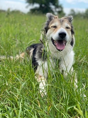 Freya of the Dynamic Duo — Unknown