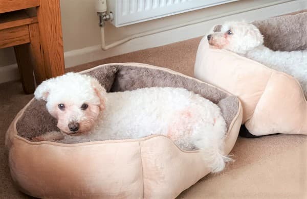 Autumn Auction 17-30 September 2023 — Unknown