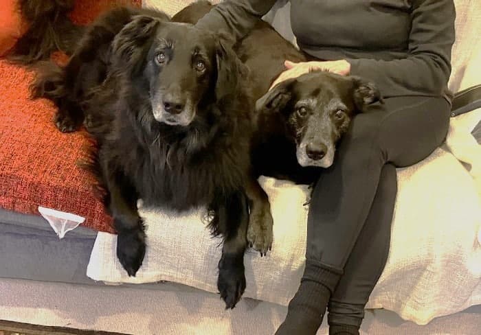 Pepsi & Max! — Unknown