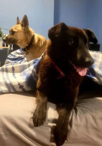 Finn & Bailey — Unknown