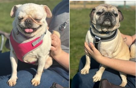 Vinnie and Lottie — Unknown