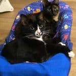 Paddy and Missy — Unknown